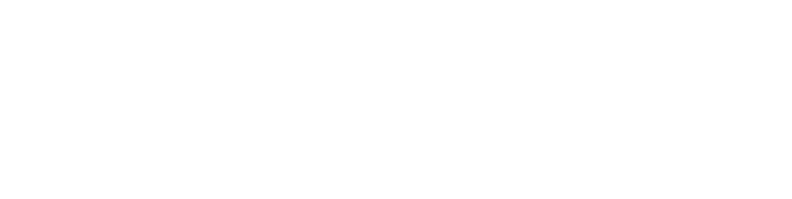 New City Gas